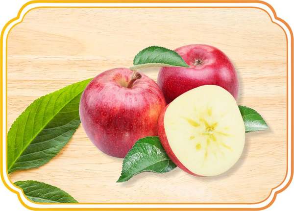 微信图片_20231006170146